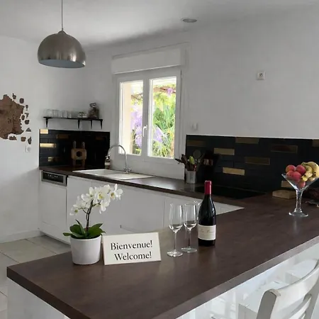 Maison Familiale Avec Jardin Et Jeux Bordeaux Villa