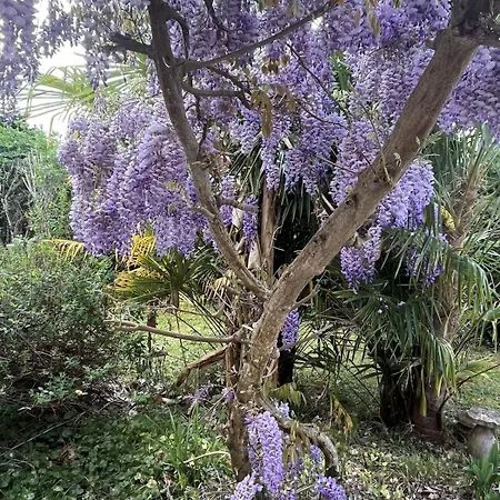 Maison Familiale Avec Jardin Et Jeux Bordeaux *